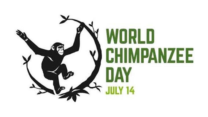 Día Mundial del Chimpancé 2021