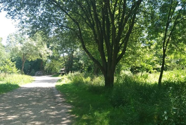 Gijón se pone ‘manos a la obra’ para el mantenimiento de la Vía Verde