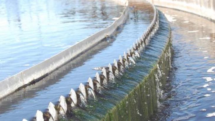 Murcia a la ‘caza’ de iniciativas para mejorar la calidad de las aguas depuradas