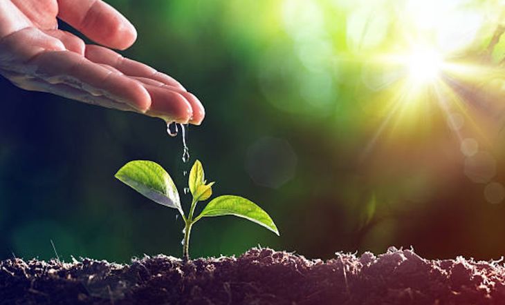 Murcia ‘se cubre de gloria’ con un decreto antiambiental e inconstitucional