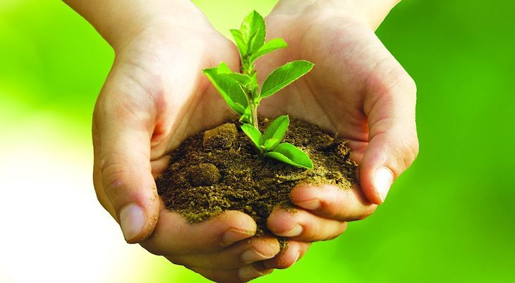 España impulsa la agenda ambiental