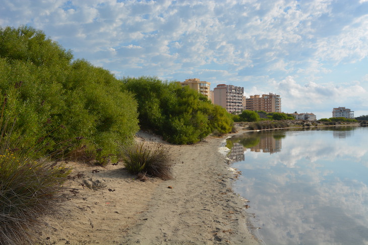 El Ministerio de Medio Ambiente autoriza a ANSE a restaurar una parte de la Caleta del Estadio