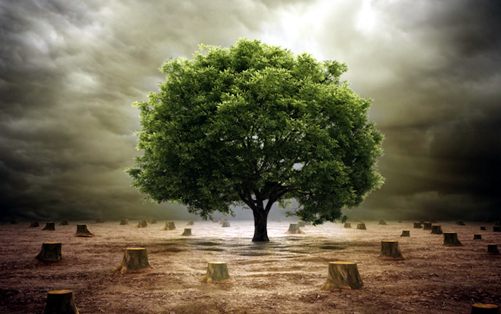 Polémica con la OCDE que avisa que algunas ayudas de la reconstrucción irán a proyectos dañinos para el medio ambiente