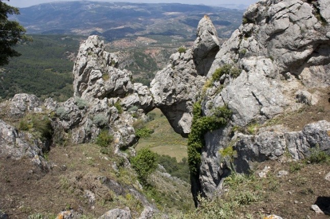 Todos pueden y deben apoyar sin fisuras al Parque Nacional Sierra de las Nieves
