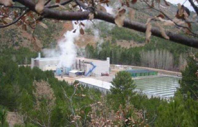 El sector de cogeneración pide la extensión de la vida de las plantas hasta 2030