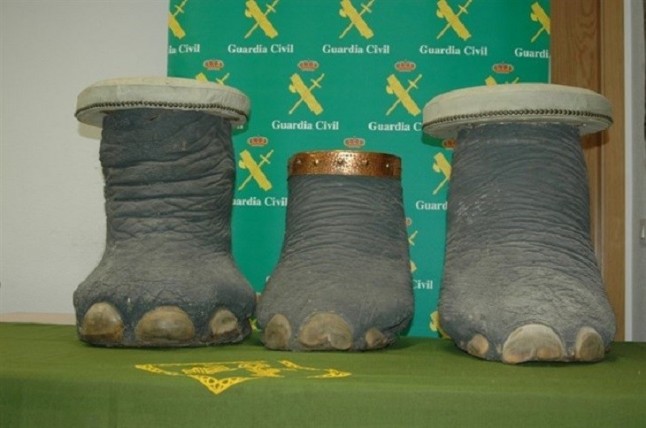 Incautan una pata de elefante usada como taburete en una vivienda en Adeje