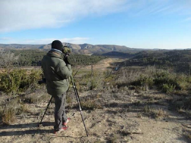 24 horas para observar el mayor número de aves en el XVIII Maratón Ornitólogo de SEO/BirdLife