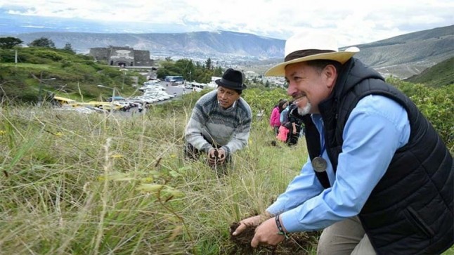 5 mil plantas fueron sembradas en el Pululahua entre el Ministerio del Ambiente y The North Face Ecuador