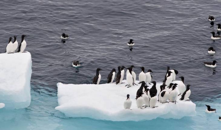 Calentamiento Global