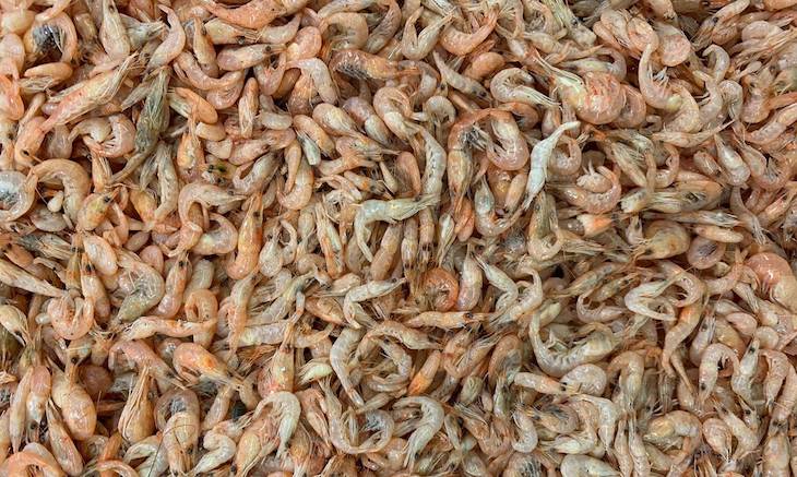 Guardando la energía  renovable en una ‘gamba’