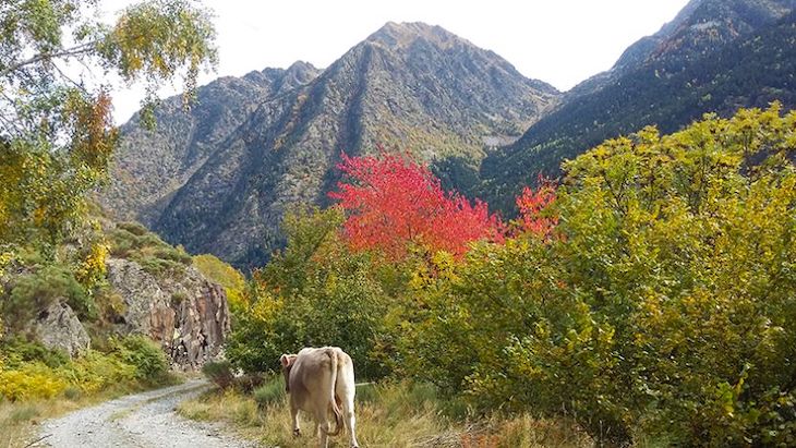 La temperatura en Catalunya subirá entre 2 y 3ºC en 2050