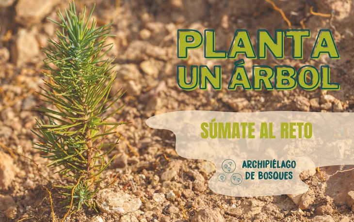 Archipiélago de Bosques colaborativo