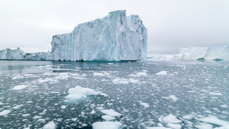 Qué pasa con el impacto de los gases industriales en el ecosistema marino antártico