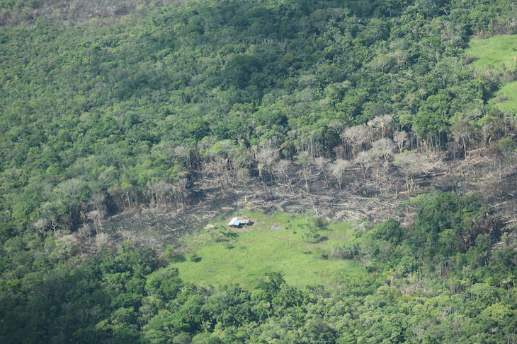 La UICN alerta de que la deforestación de la Amazonía en Colombia es peor que en Brasil