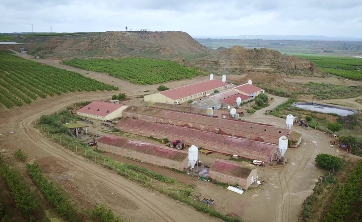 México. Un dron muestra la catástrofe medioambiental de las granjas de cerdos