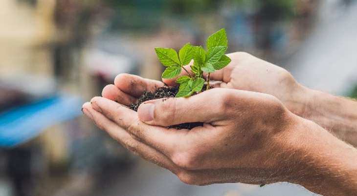 Semarnat consolida hoja de ruta que guiará la política ambiental de México