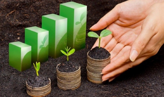 El crecimiento –aunque sea verde – es un problema para hacer frente a la emergencia ecológica