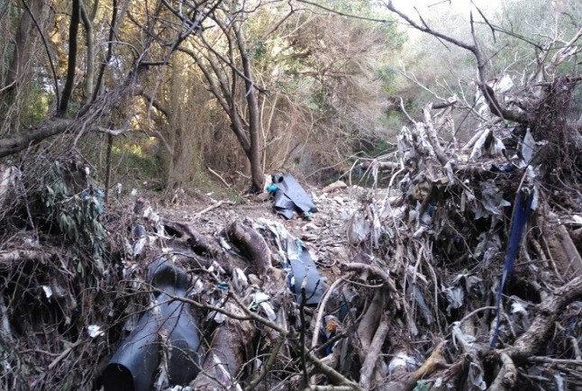 Plásticos provenientes del vertedero de Los Barrios en el cauce del arroyo del Chorreón