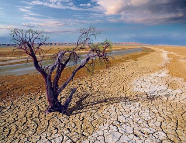 El movimiento Fridays for future protesta de nuevo este viernes frente al Congreso contra el cambio climático