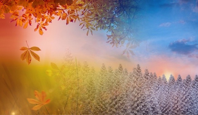 Influencia humana detectada en el ciclo estacional