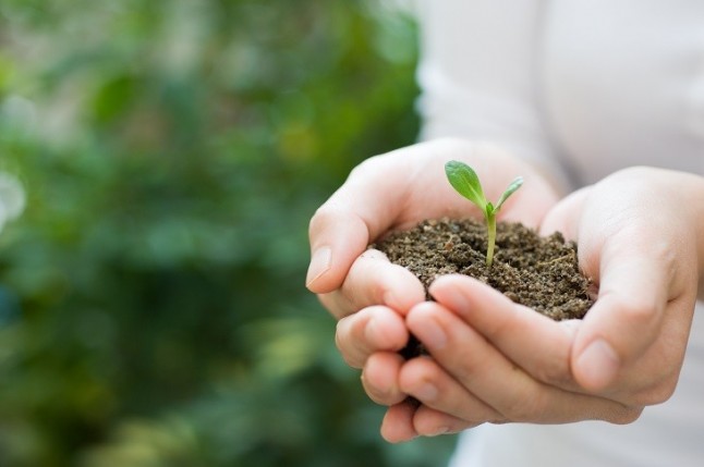 El PGOU de Jaén y la mala gestión de la prevención ambiental