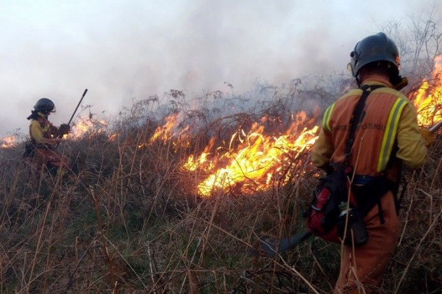 El plan contra incendios de 2018 incluye que las Fuerzas Armadas participen en Galicia y Castilla y León