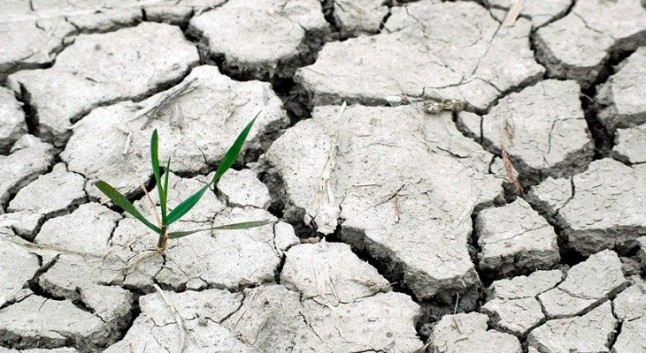 López de Uralde de EQUO reclama al Gobierno de Central  mayor ambición presupuestaria contra el cambio climático