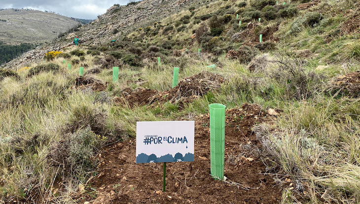 La Zoma ‘Aragón’ se reforesta con más de 16.000 árboles