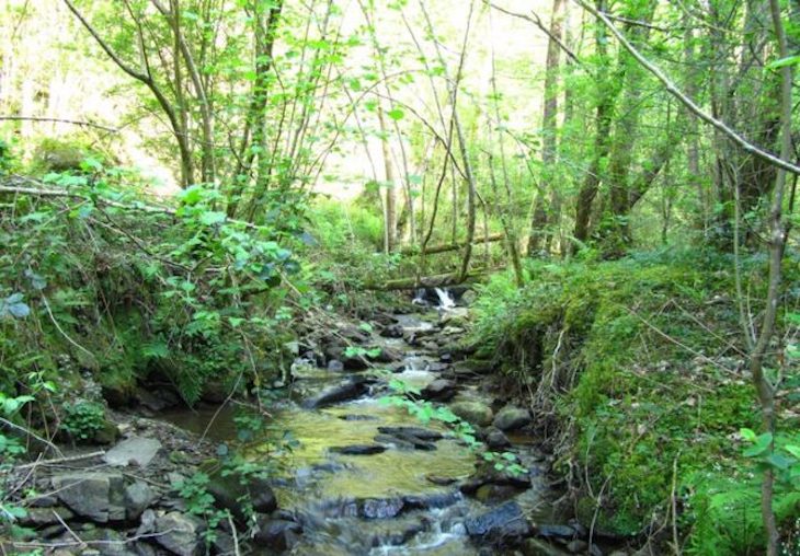 Cantabria. Monte Tejea podría ser declarado ÁreaNatural de Especial Interés en 2021