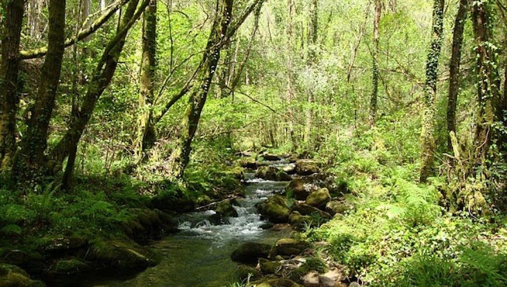 Europarc y su ‘II Premio Experiencias Inspiradoras’