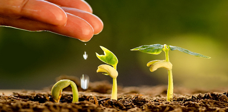 Se suma México a la restauración de ecosistemas convocada por la ONU para el próximo decenio