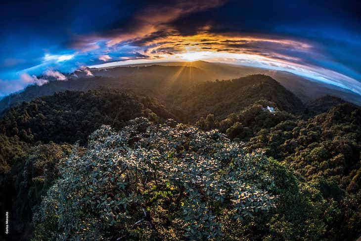 Día de la Tierra  2021 Ecuador