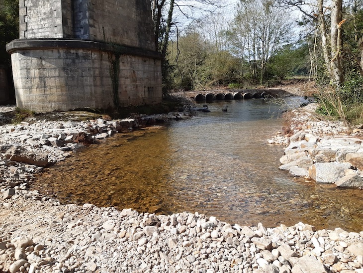 Asturias. Otra agresión al río Esva en pleno remonte de los salmones