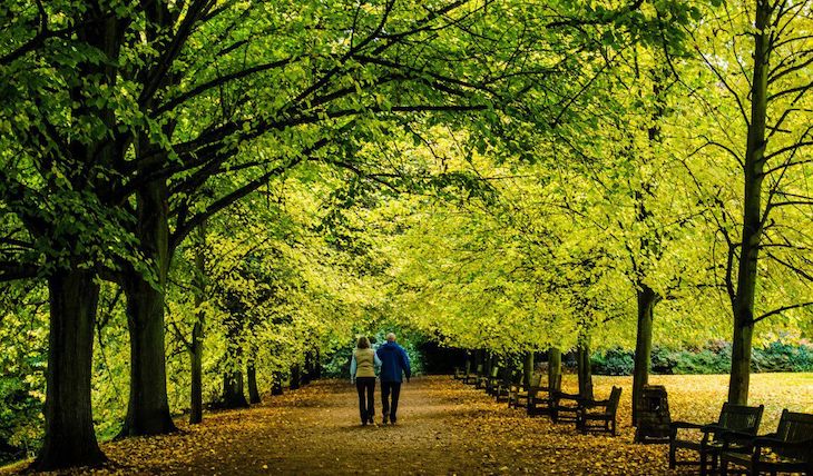 La Rioja busca más espacios verdes