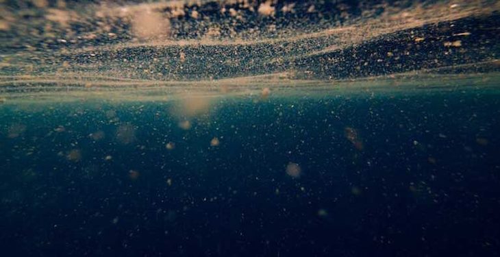 Las bacterias marinas ‘victimas’ de los microplásticos