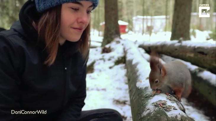 Consigue una amistad con unas ardillas rojas para fotografiarlas de muy cerca