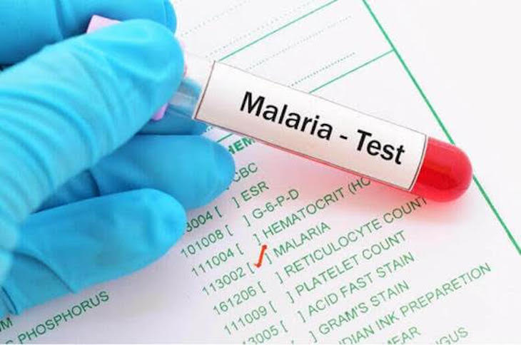 Día Mundial del Paludismo 2021 y el ‘Cambio Climático’