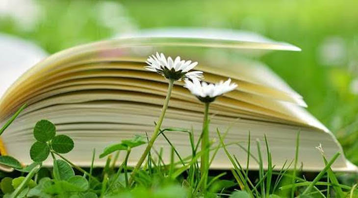 Día Mundial de la Educación Ambiental 2021