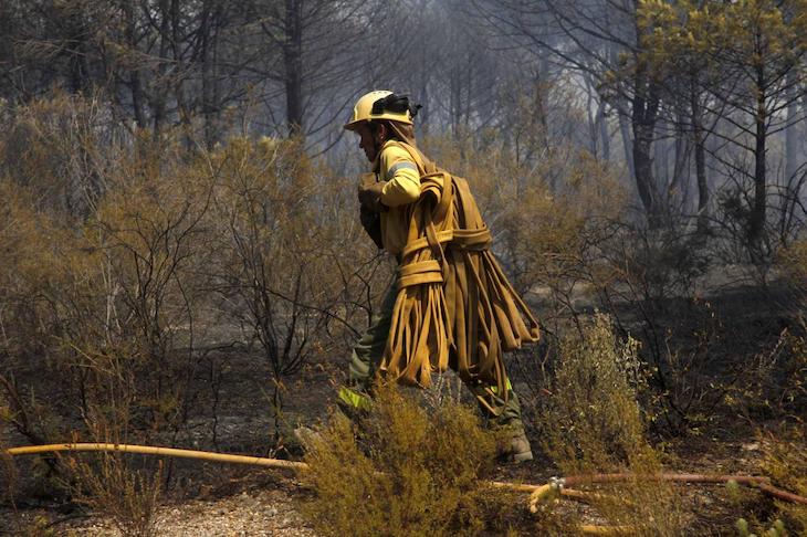 Todos los recursos para liquidar el incendio forestal de Almonaster la Real (Huelva)