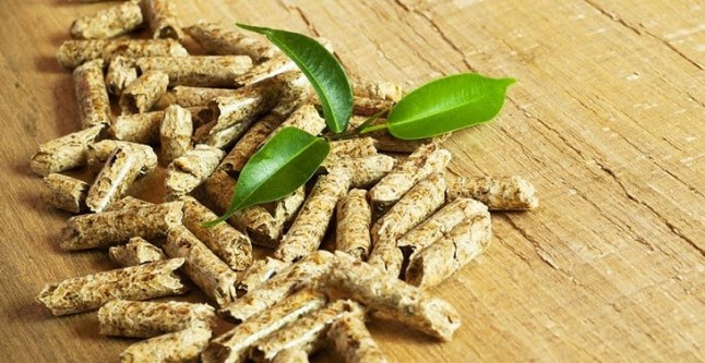 Una apuesta más decidida por la biomasa permitiría alcanzar en 2021 beneficios para España