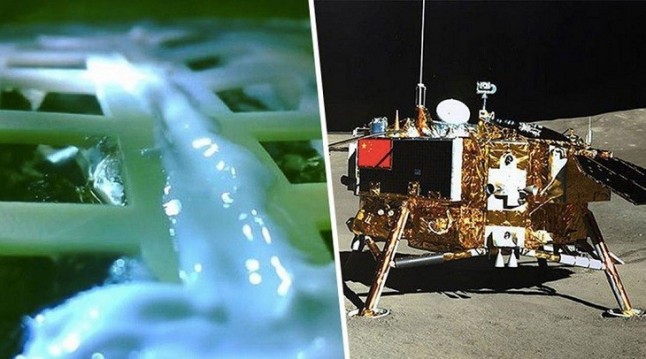 El brote de algodón en la Luna sucumbe tras un corte de calefacción