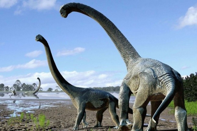 Una extinción en masa derivó en la expansión de los dinosaurios