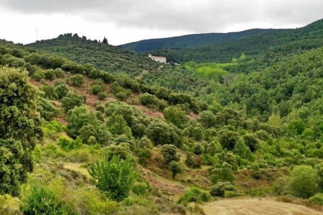 El director de Parques Nacionales visita la finca de Ribavellosa para estudiar posibles proyectos de conservación