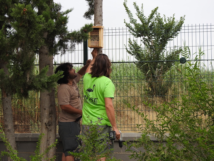 Aguas de Murcia y ANSE colaboran en la conservación de los insectos polinizadores