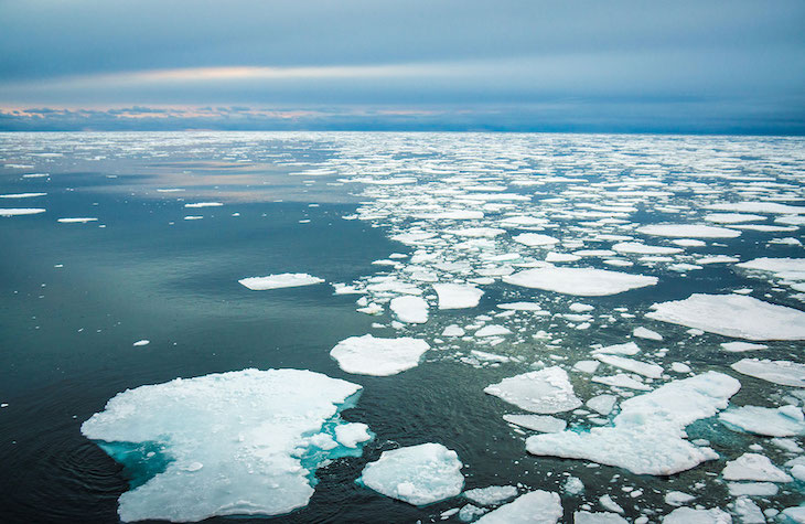 Fondos de mar antártico se calientan cinco veces más que el promedio