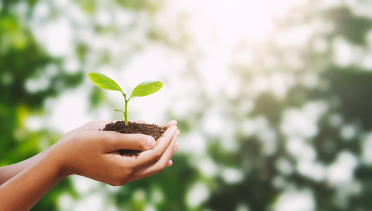 La Fiscalía reduce las diligencias en Medio ambiente