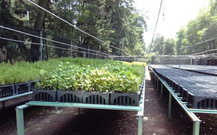 México. Anuncia Medio Ambiente la creación de tres Centros Ciudadanos para la Sustentabilidad en 2020