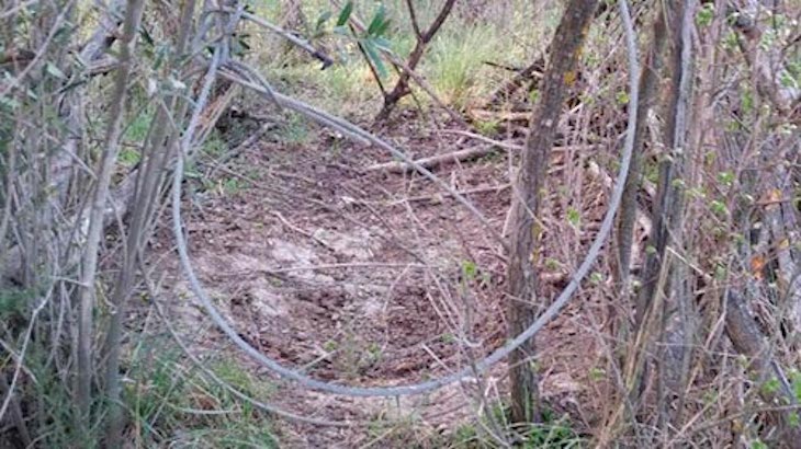 Prácticas de furtivismo en el arroyo Guadairilla