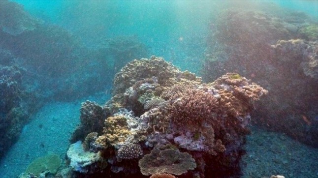 Los microorganismos están respirando arsénico en una gran área del Océano Pacífico