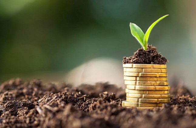 Europa establece los criterios para identificar las inversiones Verdes